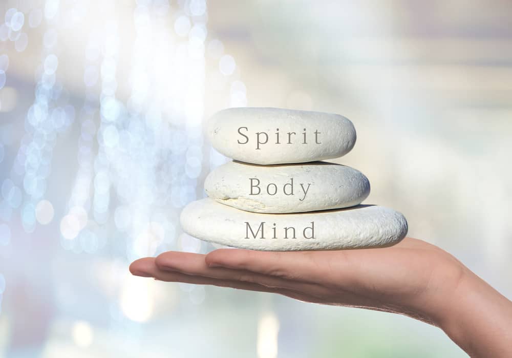 Healthy Body Healthy Mind