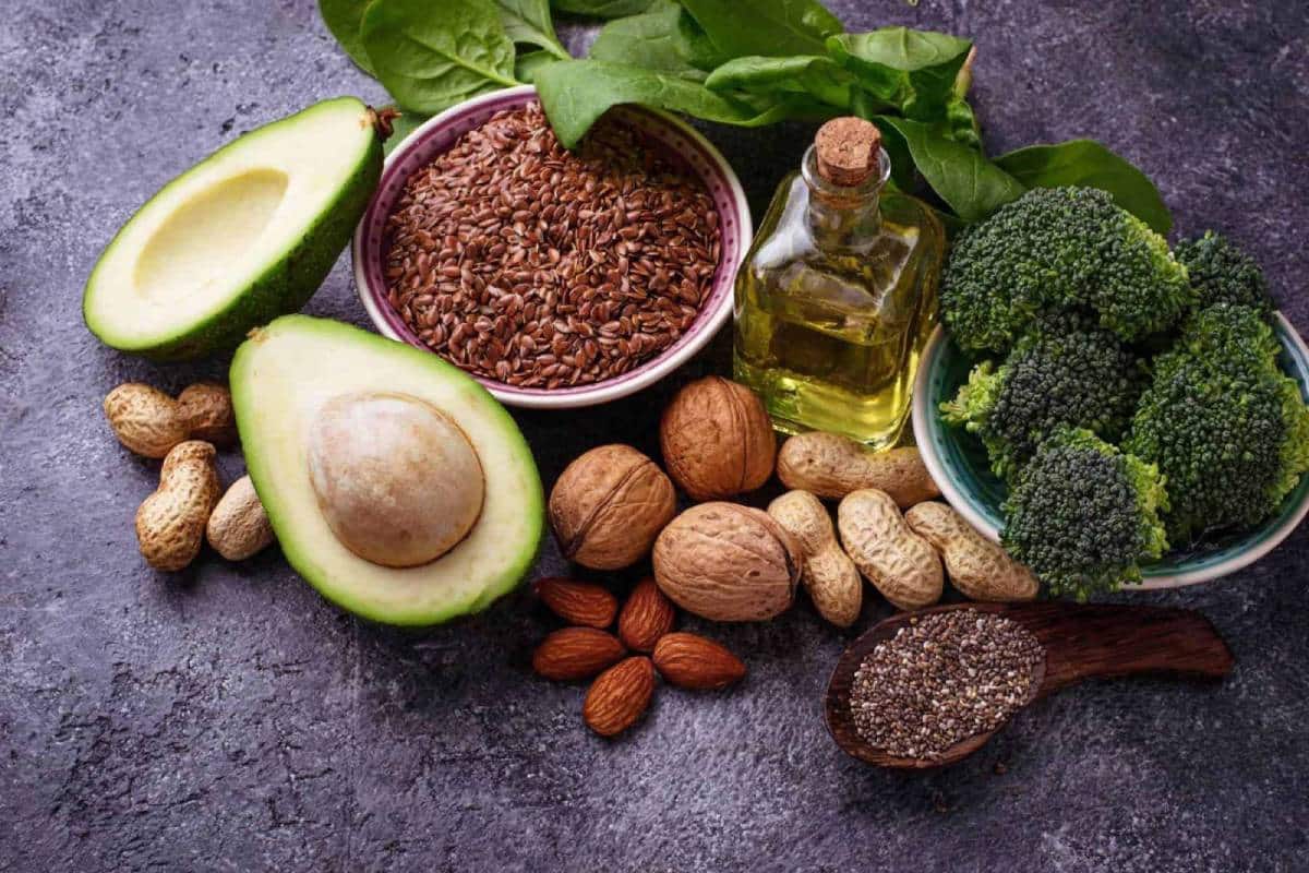 basics of ketogenic diet