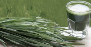 Wheatgrass Enema