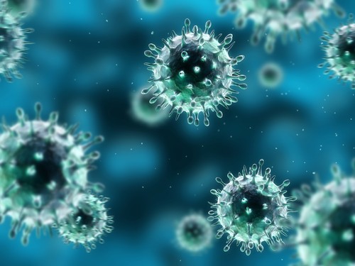 Facts About Viruses 1 Virus Genetics