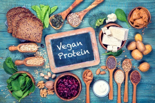 vegan protein