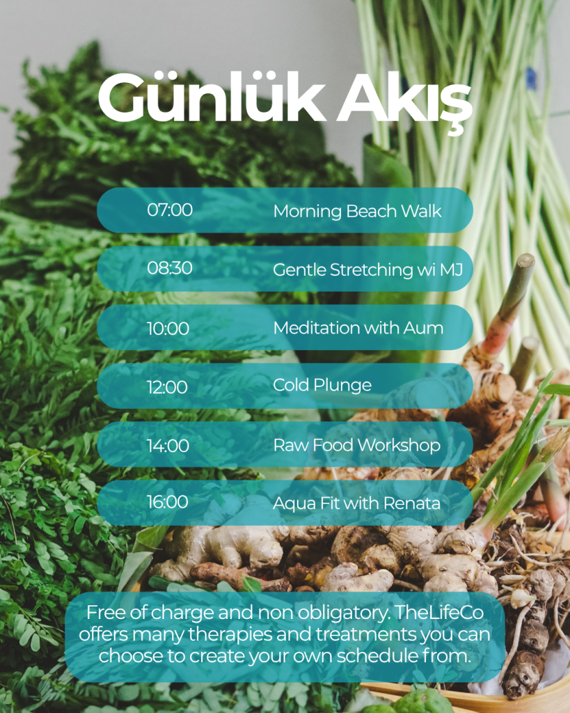 Phuket Longevity Reset Program