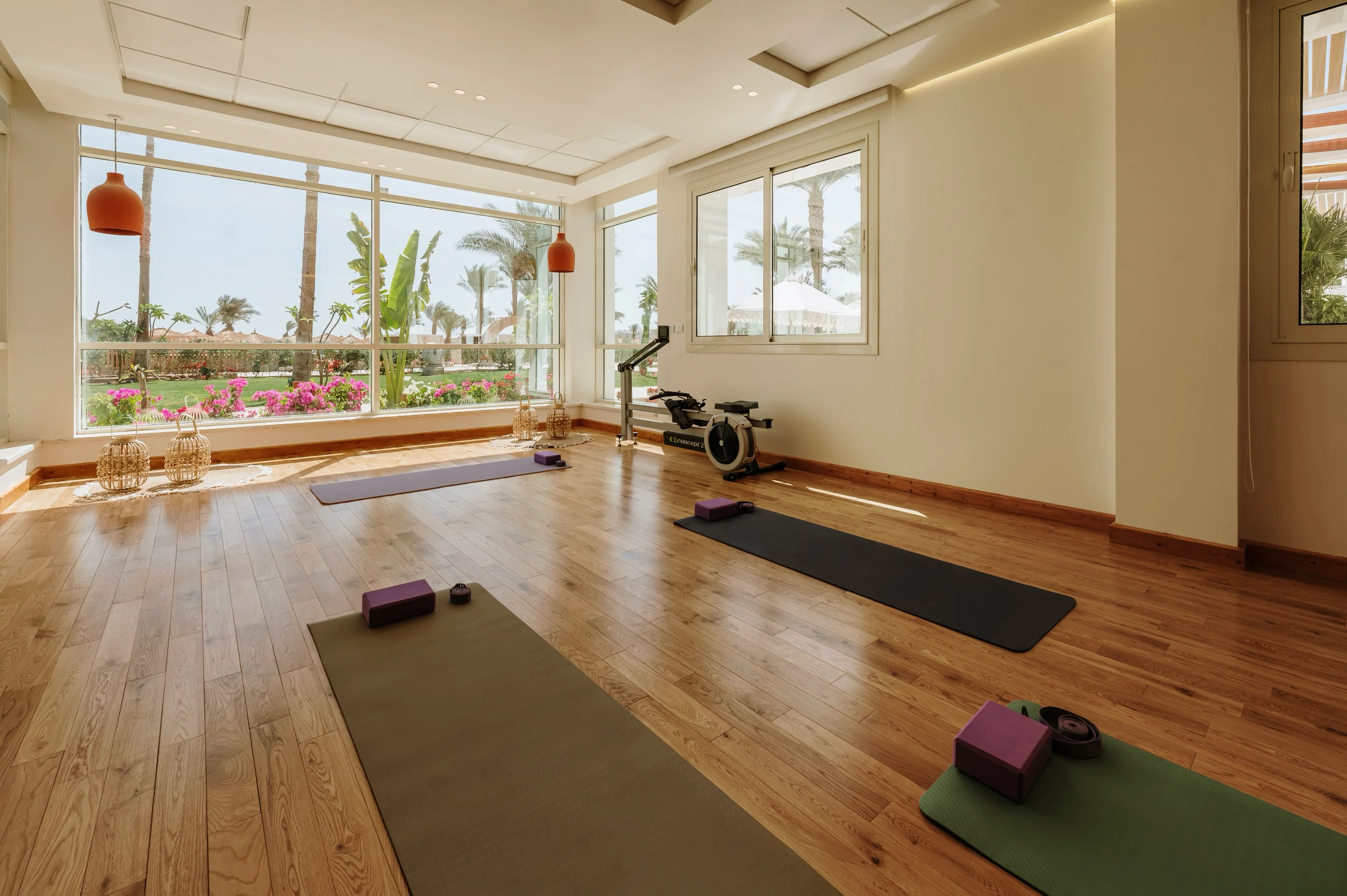 TheLifeCo Sharm: виды курорта и моря