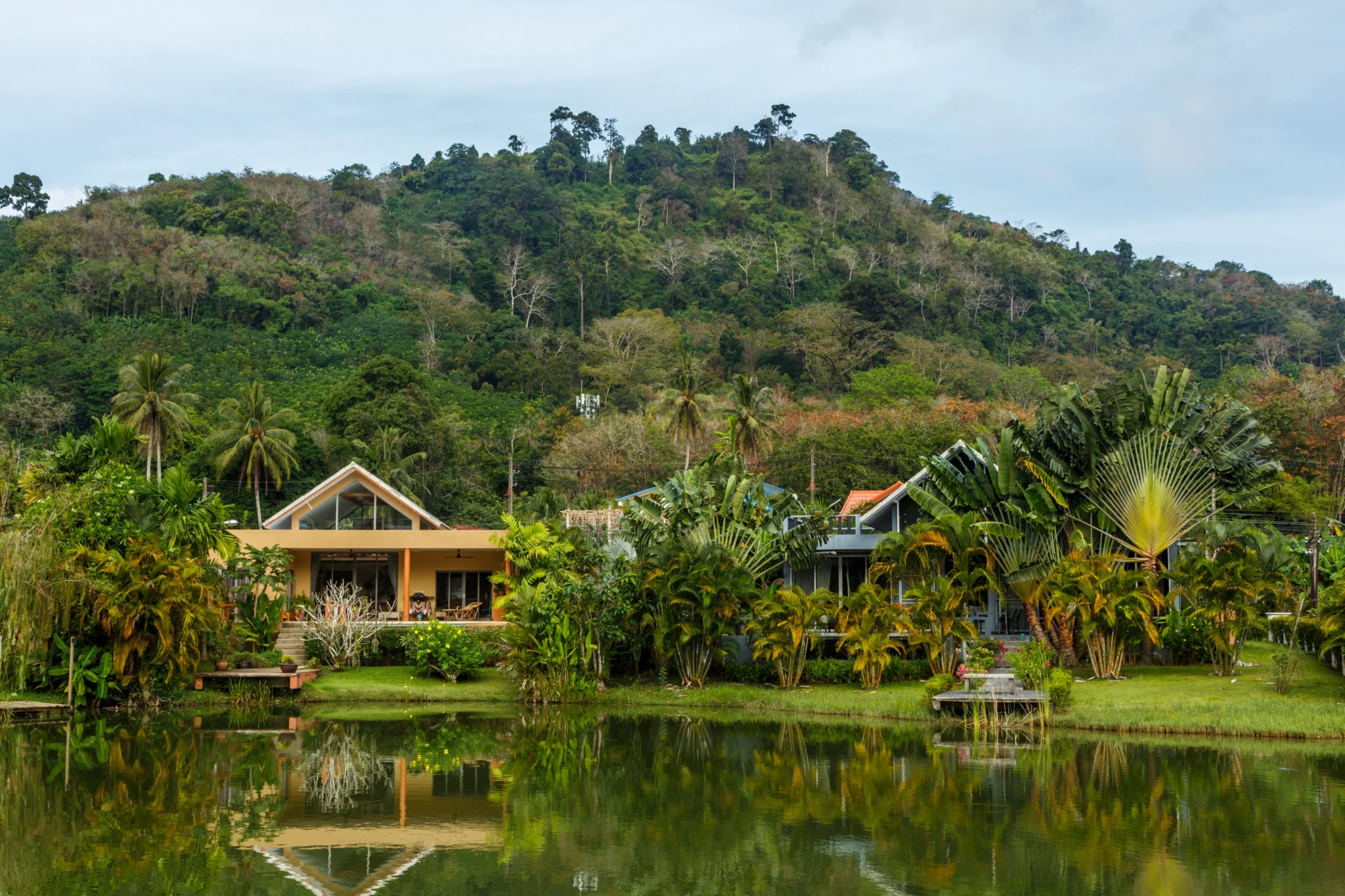 TheLifeCo Phuket video cover