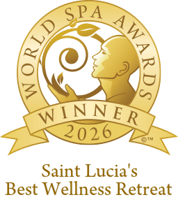 Türkiye's Best Wellness Retreat 2026 Award