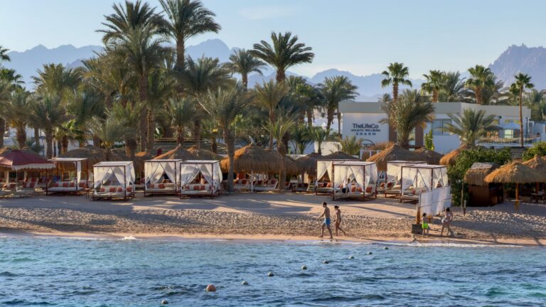 Beach cabanas and palm trees at TheLifeCo Sharm El Sheikh