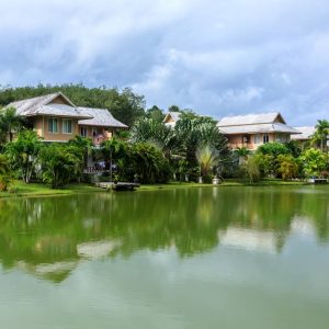 Mindful Living Programı 3 The LifeCo Phuket