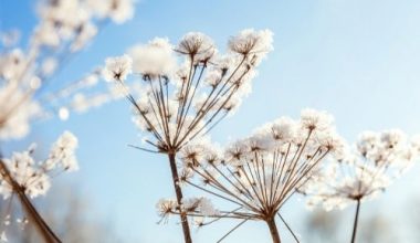 White flowers